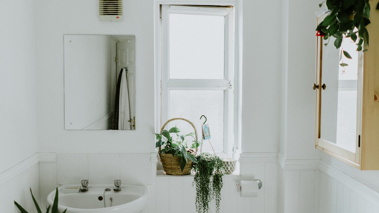 A bright white bathroom with a pedestal sink, plants on the sill and a checkerboard floor.
